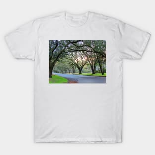 Tree Lined Street In Wilmington, NC T-Shirt